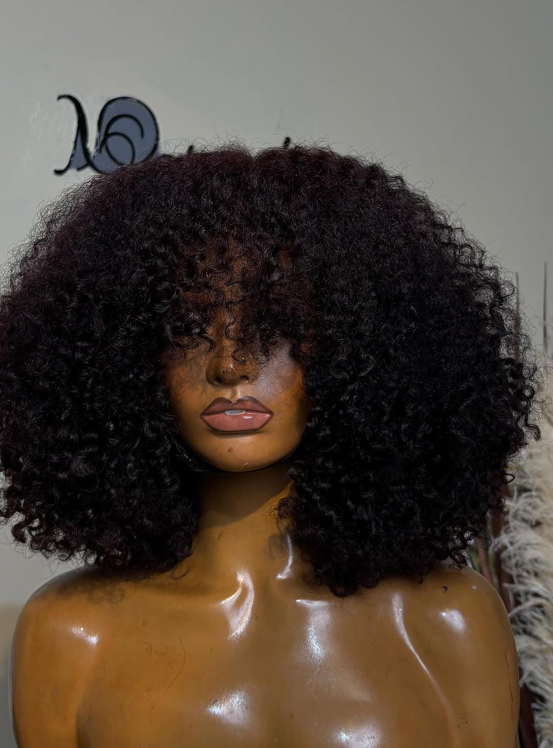 HD Curly Lace Wig