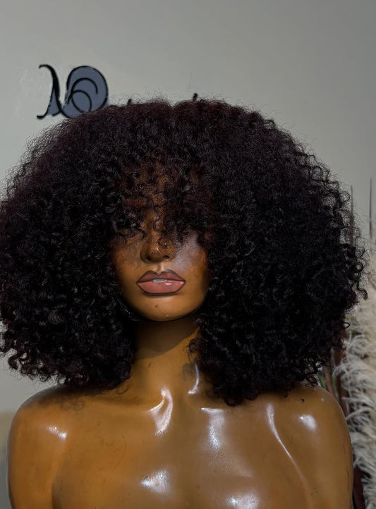 HD Curly Lace Wig